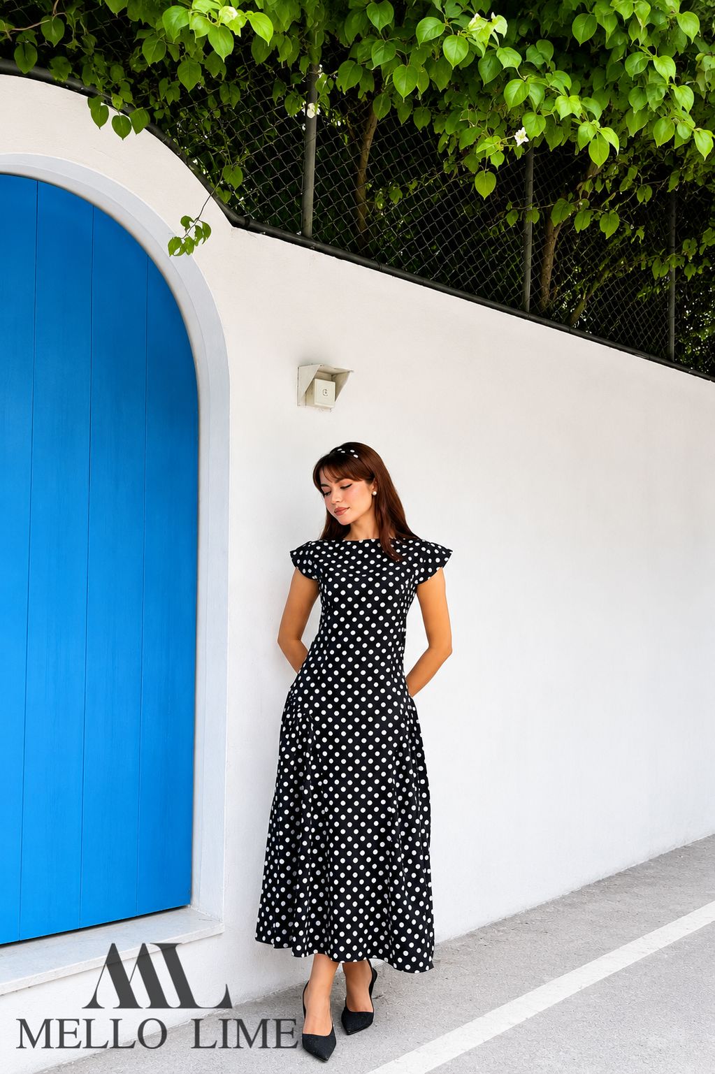 Polka Dream